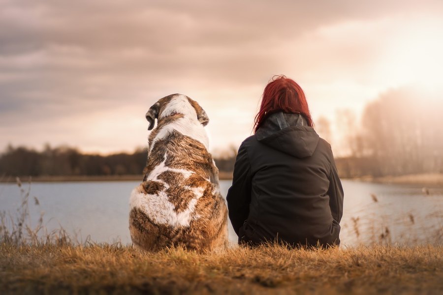 cuantos-anos-vive-un-perro