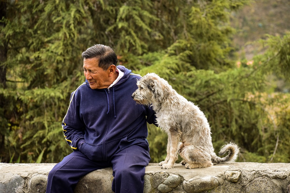 cuantos-anos-vive-un-perro