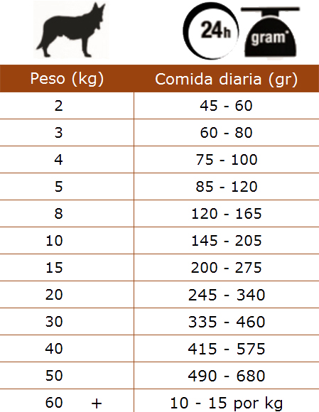 Planeta Campeonato fondo Cantidad de comida para perros: ¿cuál es la ideal?