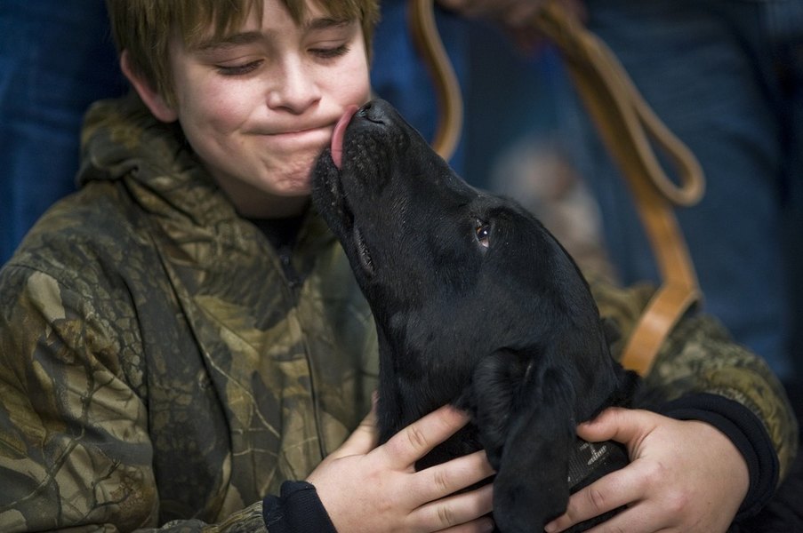 como-saber-de-que-raza-es-mi-perro-mestizo2