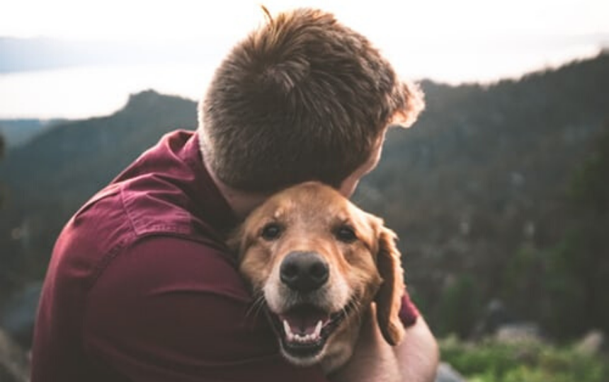 como-se-si-mi-perro-sufre-de-ansiedad-por-separacion