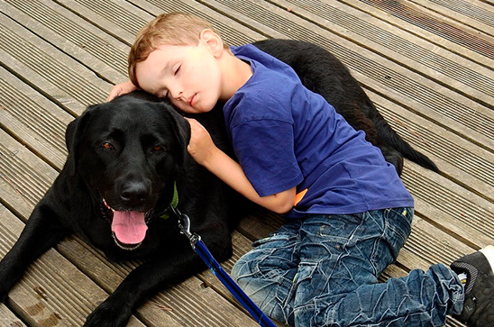 razas-de-perros-ideales-para-ninos-pequenos