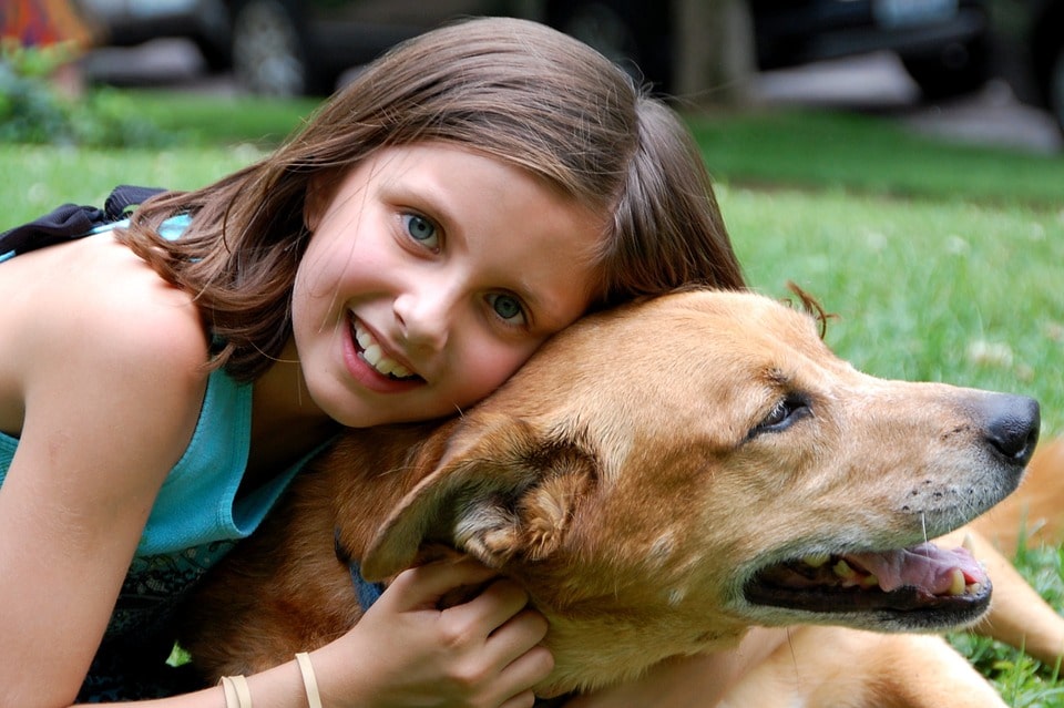 salud-dental-en-perros-como-cuidarla